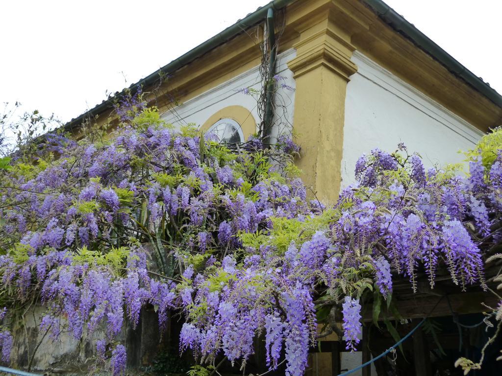 Pouso Das Glicinias - B&B Ouro Preto  Exterior foto